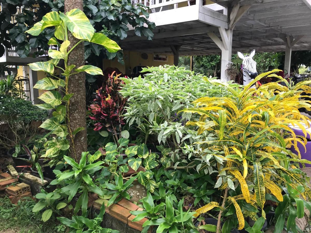 Vila Tree In Town ทรีอินทาวน์ Phatthalung Exteriér fotografie