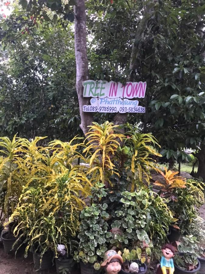 Vila Tree In Town ทรีอินทาวน์ Phatthalung Exteriér fotografie